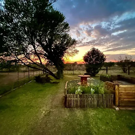 Le Petit Guesthouse Bloemfontein Exterior photo