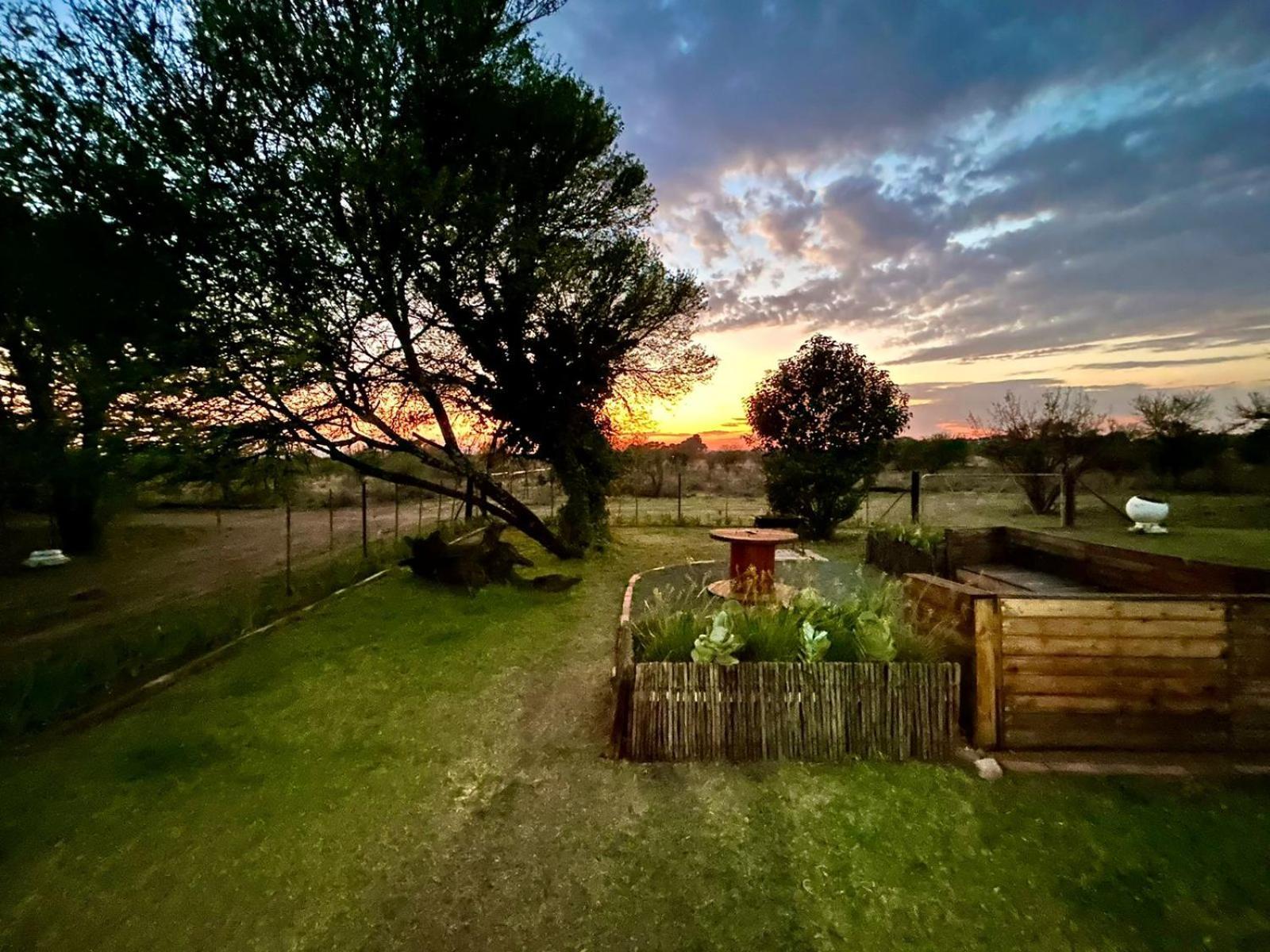 Le Petit Country house Bloemfontein